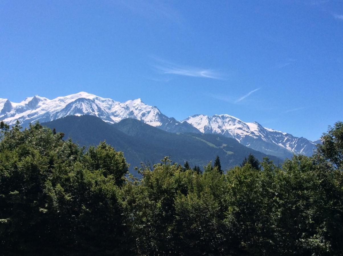 Fizhome Mt Blanc Passy (Haute-Savoie) Exterior foto